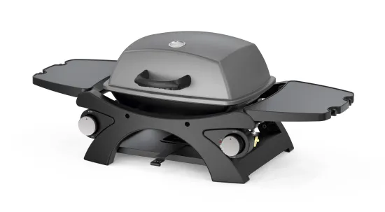 Egg Gas Grill Outdoor Portable Table Top Grill 2 Burner
