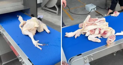 Automatic Chicken Cutting Machine Fish Cutting Machine