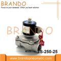 2/2 Yollu Paslanmaz Çelik Solenoid Vana 2S-250-25