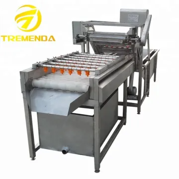oranges/lemons/citrus/avocado washing machine vegetable and fruit washing machine line