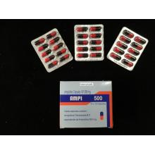 Cápsulas de ampicilina BP 250MG