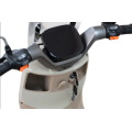 portable commuter scooter in daily life