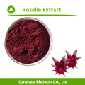 Roselle-extract / Hibiscus Sabdariffa-extractpoeder 10: 1