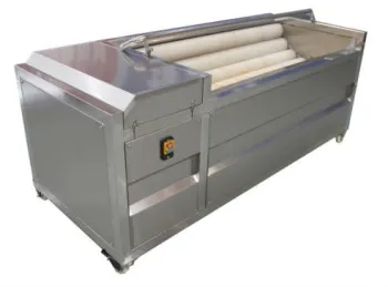 Rhizome vegetable washing and peeling machinery
