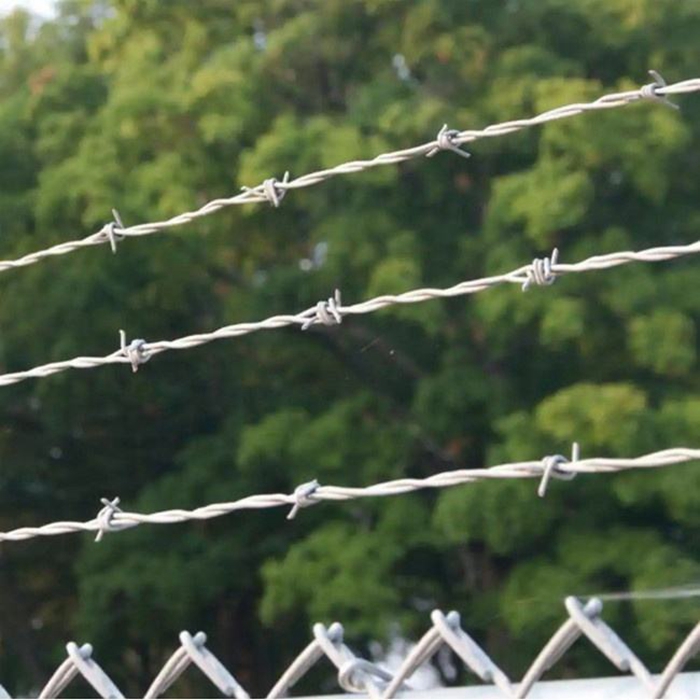Barbed Wire 60 Jpg
