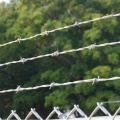 Vista de alambre de púas galvanizado de red antirrobo