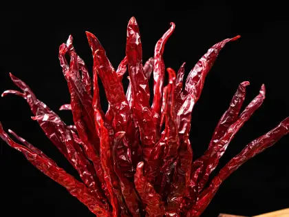Spicy and authentic Dried chili-Bullet chili pepper
