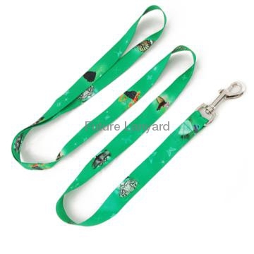 Wholesale durable fashion Polyester Pet Leash for promotional