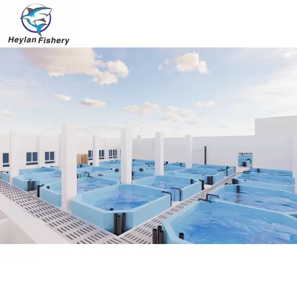 Commercial RAS Aquaculture for Tilapia and Salmon Farming