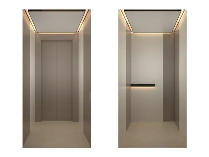 Luxury Home Elevator Capsules