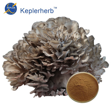 Maitake paddestoel extract poeder