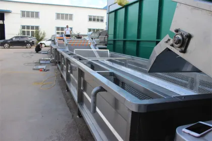 Industrial Fresh Fruits Processing Machinery: Auto Industrial Cherries Sizing, Sorter, Grader