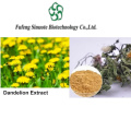 High-Quality Dandelion Extract for Digestive Support and Detox