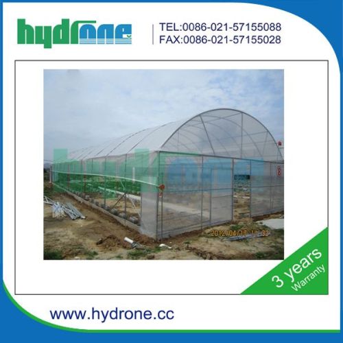 Agricultural Greenhouse Covering Film/agricultural Poly Film Greenhouse