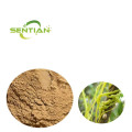 Chinese Dodder Seed Extract Powder