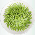 Chinois Longjing Green Tea Dragon bien vert vert