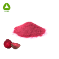 Organisches OEM -Superfood -Antioxidationsmittel -Rote -Beete -Extraktpulver