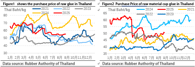 Natural Rubber Price: Short-Term Strong Fluctuation Likely