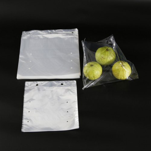 Plastic Transparent Pouch Plastic Packaging Food Poly Bag