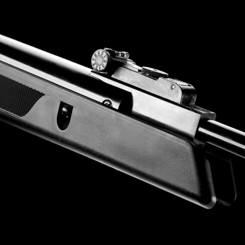 Spring Air Rifle SR1000S
