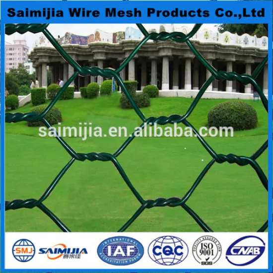 China factory supply Hexagonal wire mesh/chicken netting