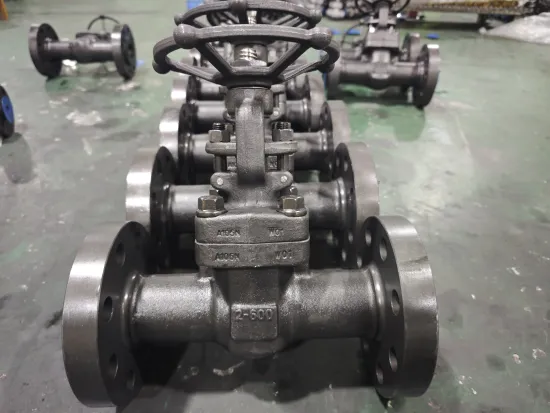 2" 600LB A105 Gate Valve with Trim.11