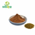 Paraguay Tea Yerba Mate Powder Paraguay tea extract Yerba mate powder Manufactory