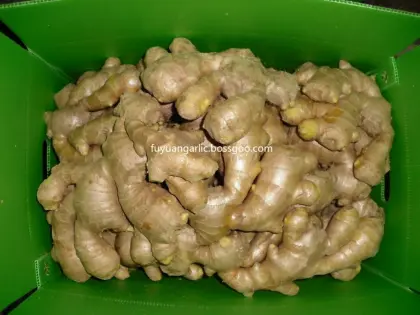 Dried ginger  2020