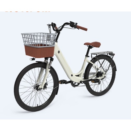Power Assisted Bicycle With Basket