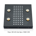 /msite/products/detail/productid/57023977/id/666378.html