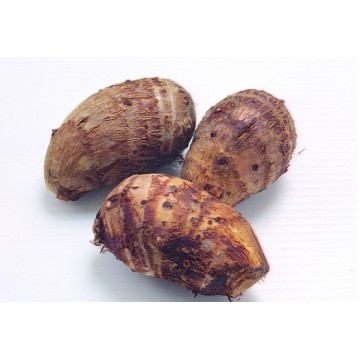 Class A 2020 New Crop Fresh Taro