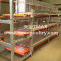 Sistem sangkar broiler di Ayam