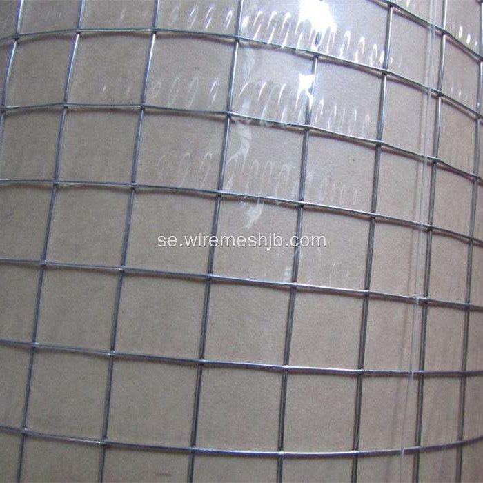 1&#39;&#39;x 1&#39;&#39;Galvaniserad Svetsad Wire Mesh Rolls