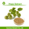 Humulus Lupulus Extract Hops Flavone 3% 5% 6%