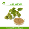 Humulus Lupulus extracto saltos flavonas 3% 5% 6%