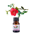 10ml Camellia Fragrance Oil 10ML Diffuser Aroma Essential Oil Longevity flower Rose Peony Orchid Water lilies Winter jasmine
