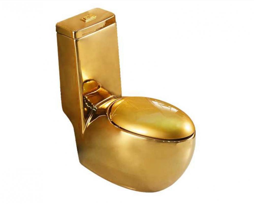 G1010gold One Piece Toilet