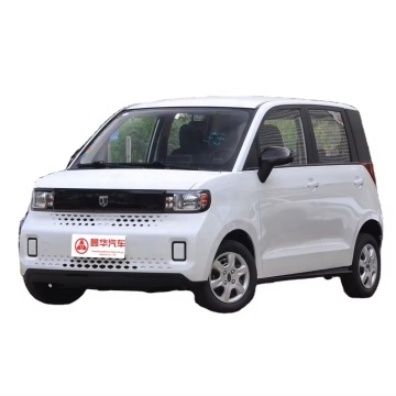 Đường hàng đầu Baizhi Big Bear: chiếc hatchback 4 chỗ tinh khiết Ultimate Pure Electric với động cơ đơn, phiên bản Deluxe cho người lớn