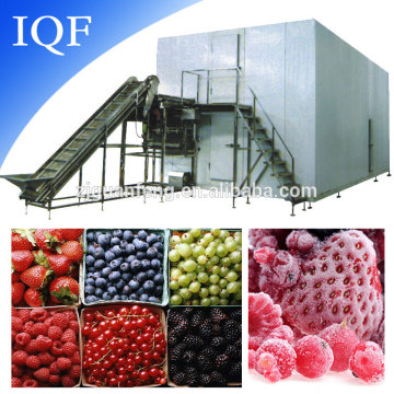 Berry fluidize quick freezing machine berry iqf freezer