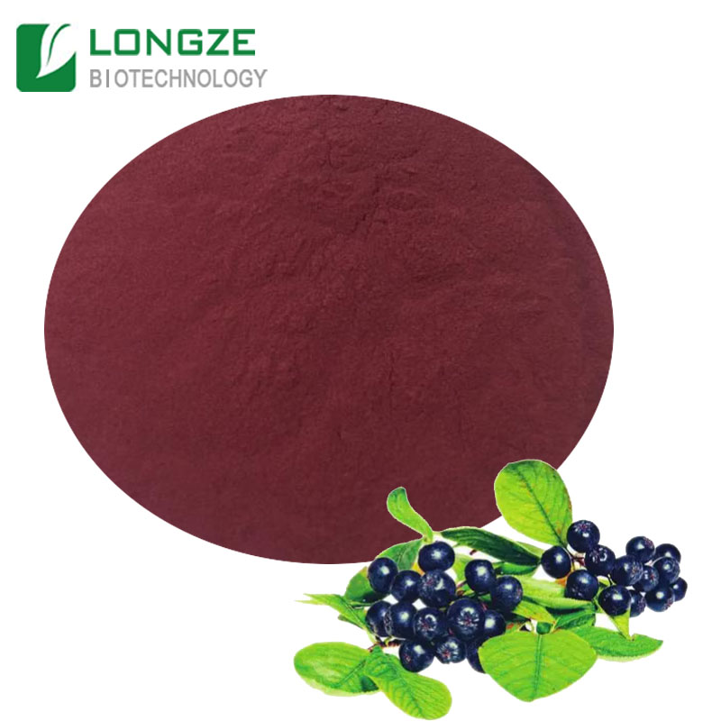 pure natural black elderberry powder