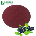 pure natural black elderberry powder
