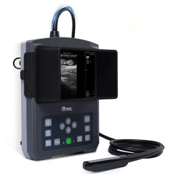 Veterinary Ultrasound Scanning Machine Bw590V