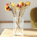 Цилиндровая стеклянная ваза Прозрачные простые цветочные стеклянные вазы