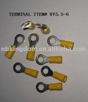 # RV5.5-6 Terminal &amp; Stecker