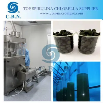 OEM manufacturer Organic Spirulina 100% pure in bulk