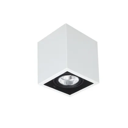 12w LED Grille Light Adjustable