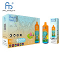 Original RandM Tornado 9000 Disposable Vape France