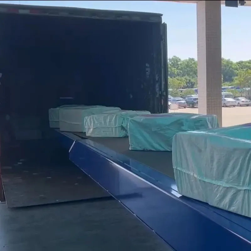 Factory Price Intelligent Logistics Truck Loading Unloading WMS Telescopic Belt Conveyor

**Title:** Intelligent Logistics Truck Loading Conveyor System