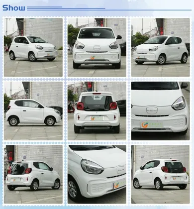 Roewe CLEVER Mini Electric Car - 311km Range, 4 Seats