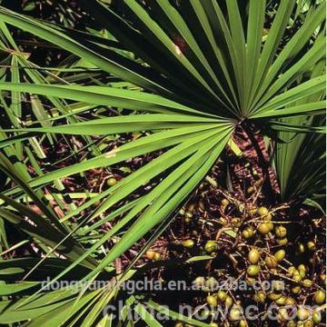 Saw Palmetto Extract: 45% Total fatty acid